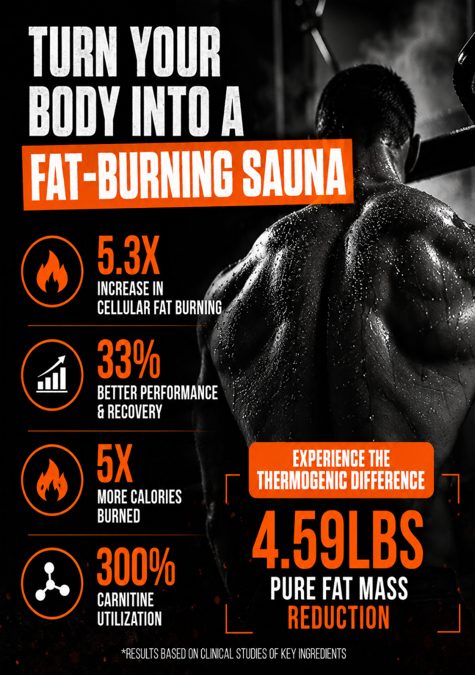 Fat burns 360