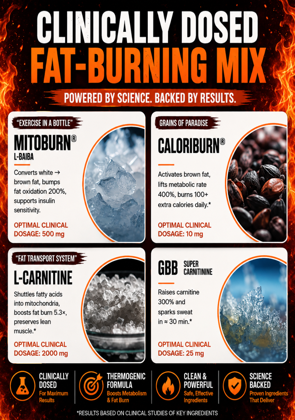 Fat burns 360
