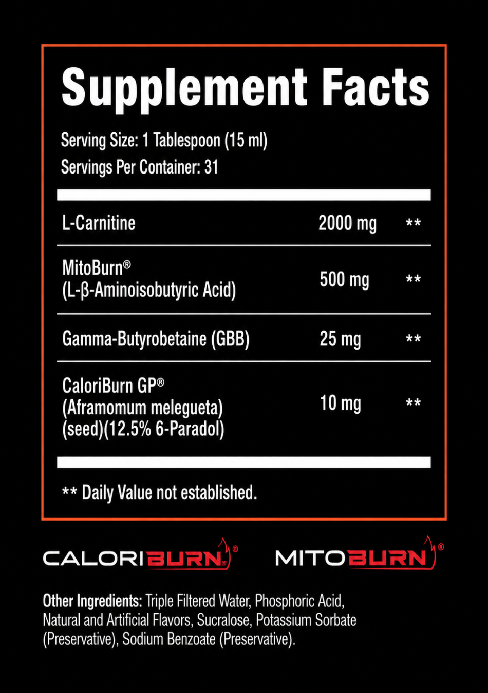 Fat burns 360